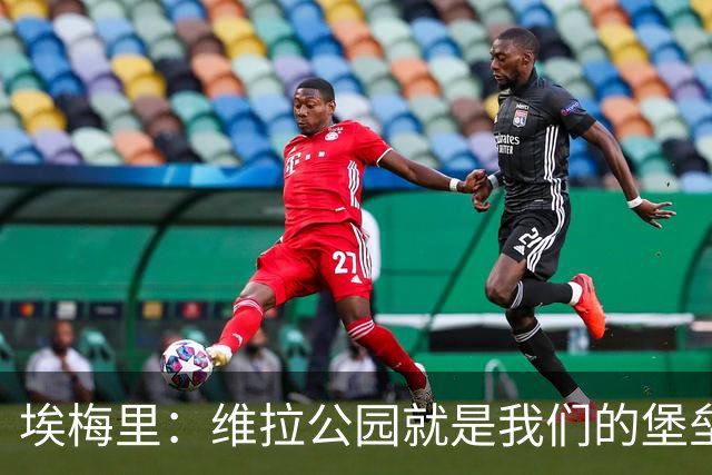 埃梅里：维拉公园就是我们的堡垒，球迷给了我们巨大能量